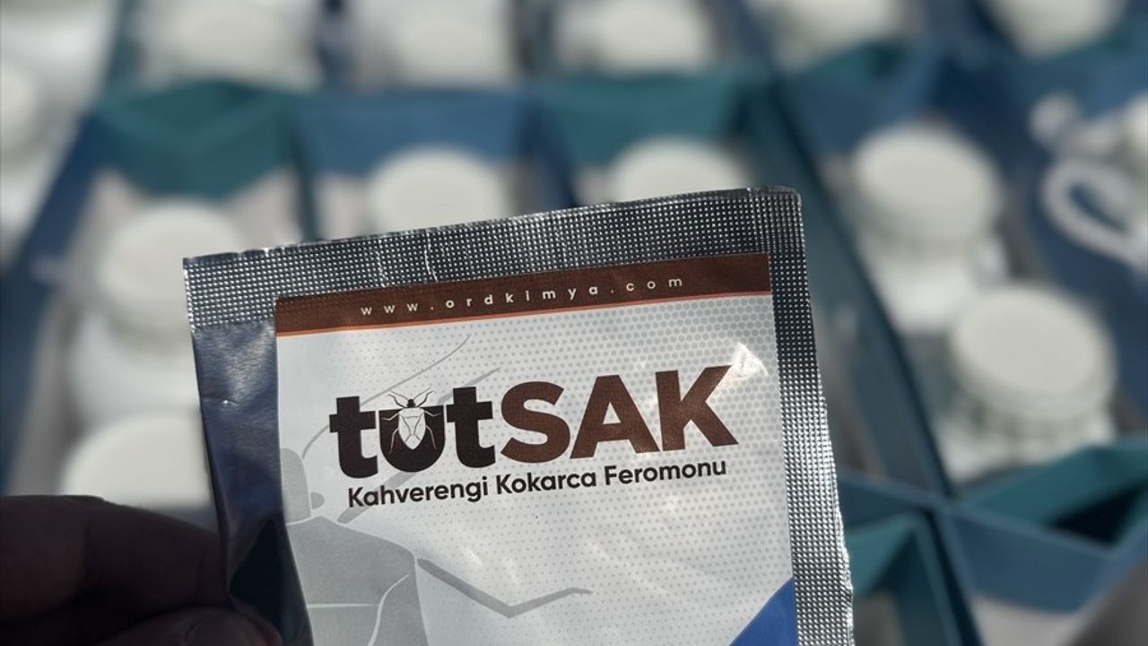 Sakarya'da Kahverengi Kokarca Zararlısına Yönelik Ürünler Çiftçilerle Buluştu