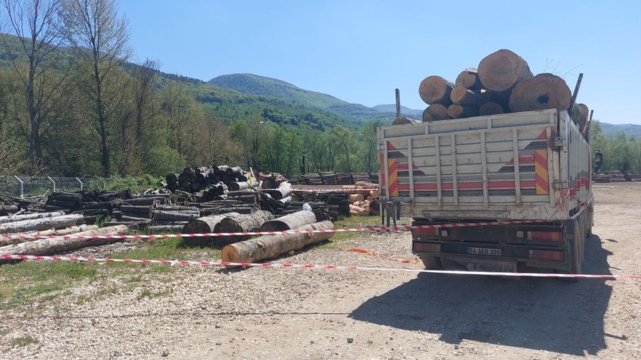 Sakarya'da Tomruk Kazası: Bir Orman İşçisi Hayatını Kaybetti