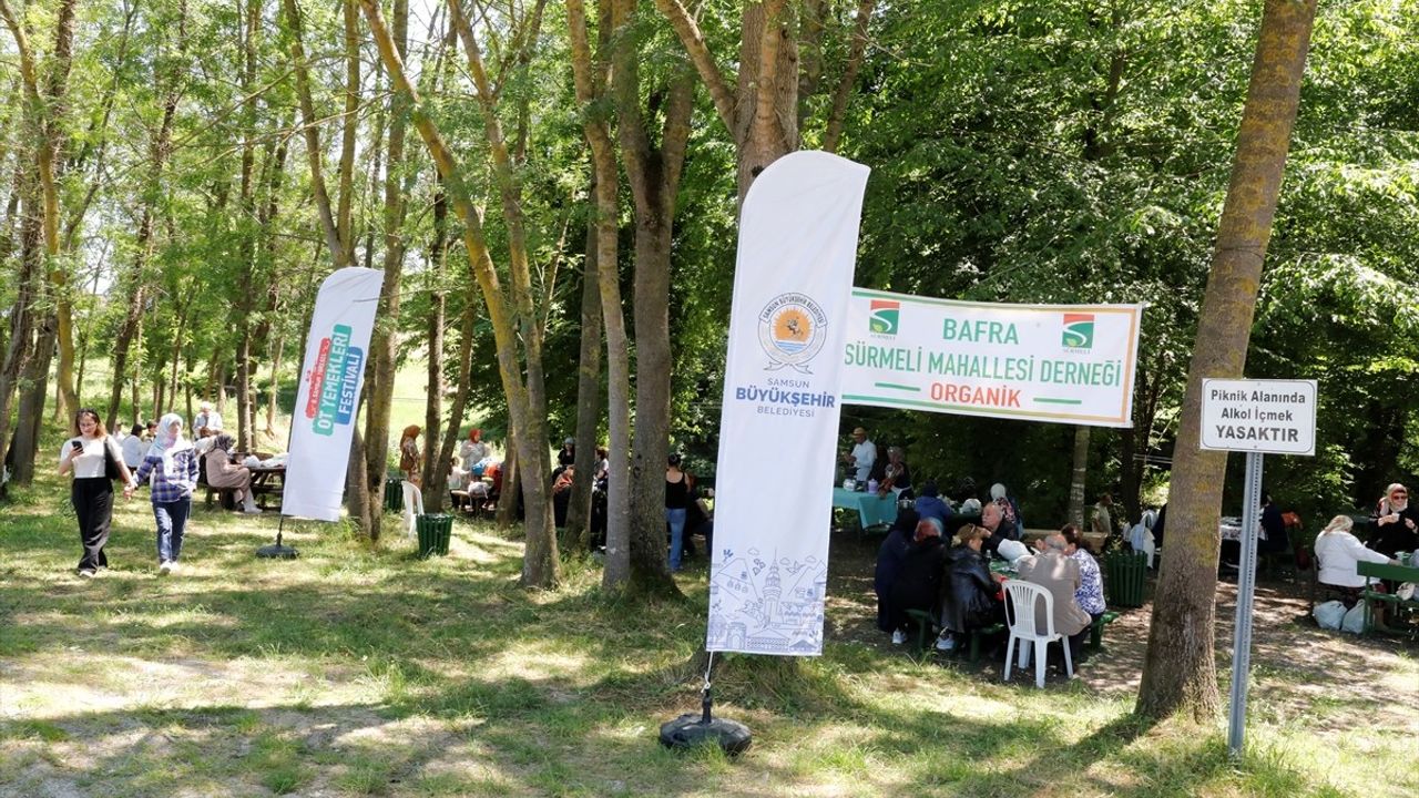 Samsun'da 8. Yöresel Ot Yemekleri Festivali Başladı
