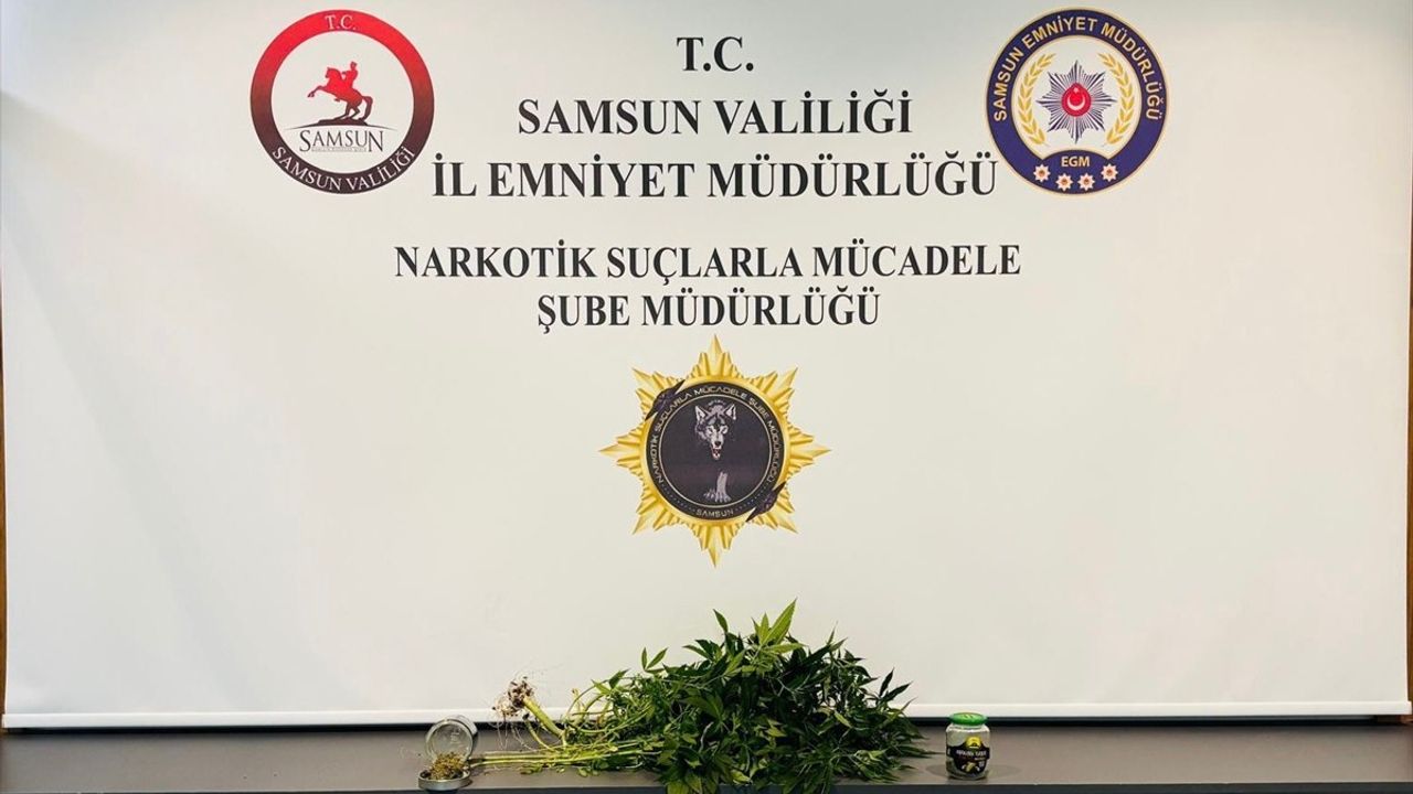 Samsun'da Evde Kenevir Yetiştiren İki Kişi Gözaltına Alındı