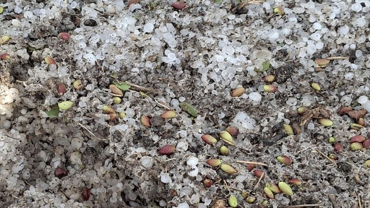 Şanlıurfa'da Dolu Yağışı Tarım Alanlarını Vurdu: Zarar Tespit Çalışmaları Başlatıldı