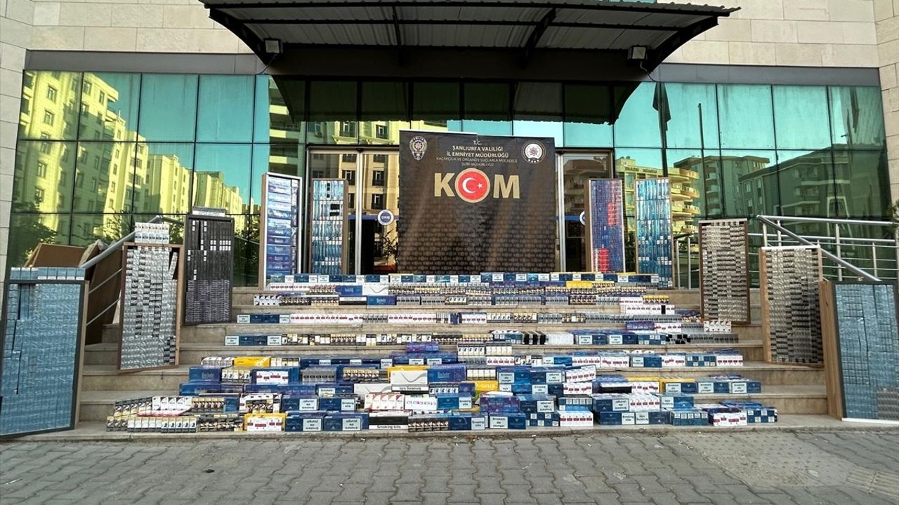 Şanlıurfa'da Kaçakçılık Operasyonu: 19 Bin 800 Paket Kaçak Sigara Ele Geçirildi