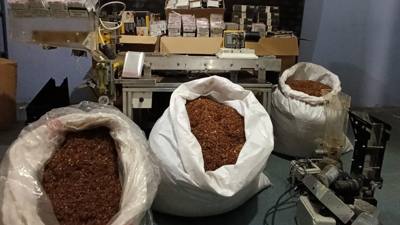 Sivas'ta Kaçak Tütün Operasyonu: 126 Bin 800 Makaron Ele Geçirildi
