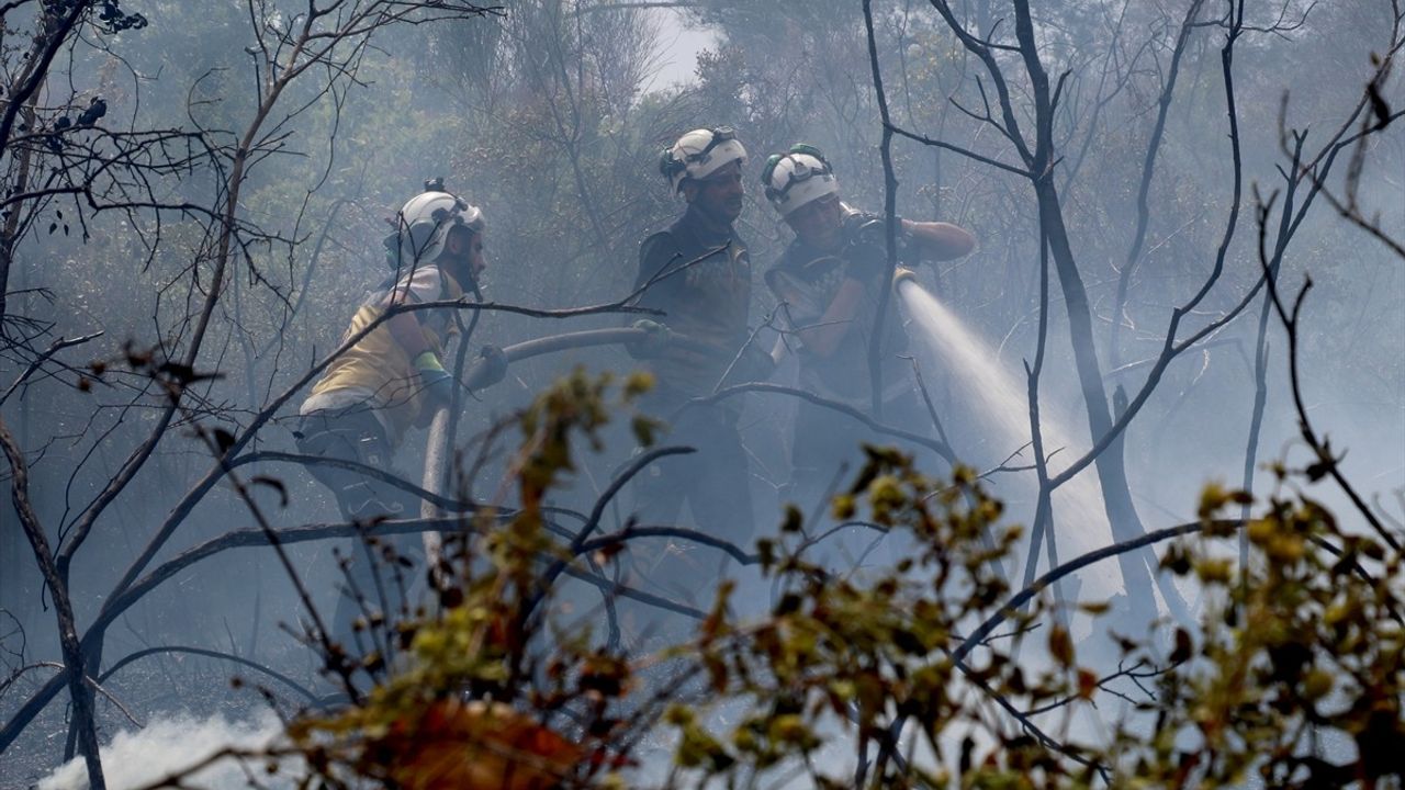 Suriye'nin Bayırbucak Bölgesinde Orman Yangınına Müdahale Devam Ediyor