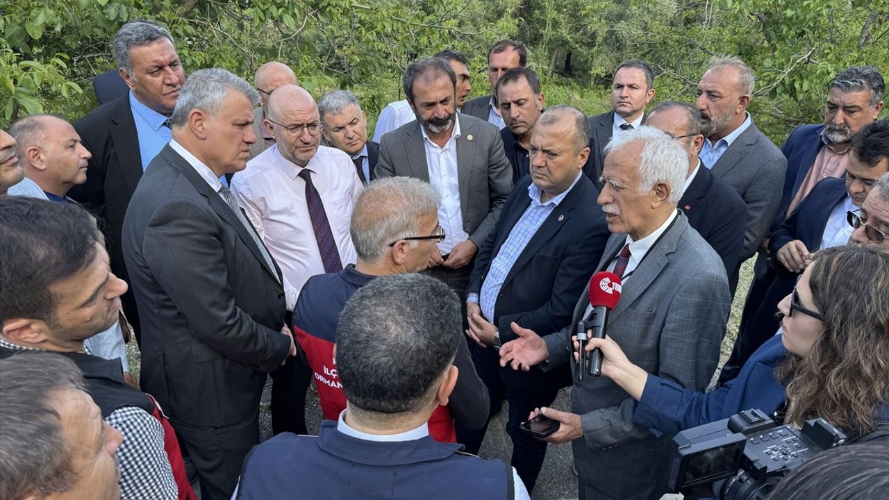 TBMM Zirai Don Komisyonu, Kahramanmaraş'taki Ceviz Bahçelerini İnceledi