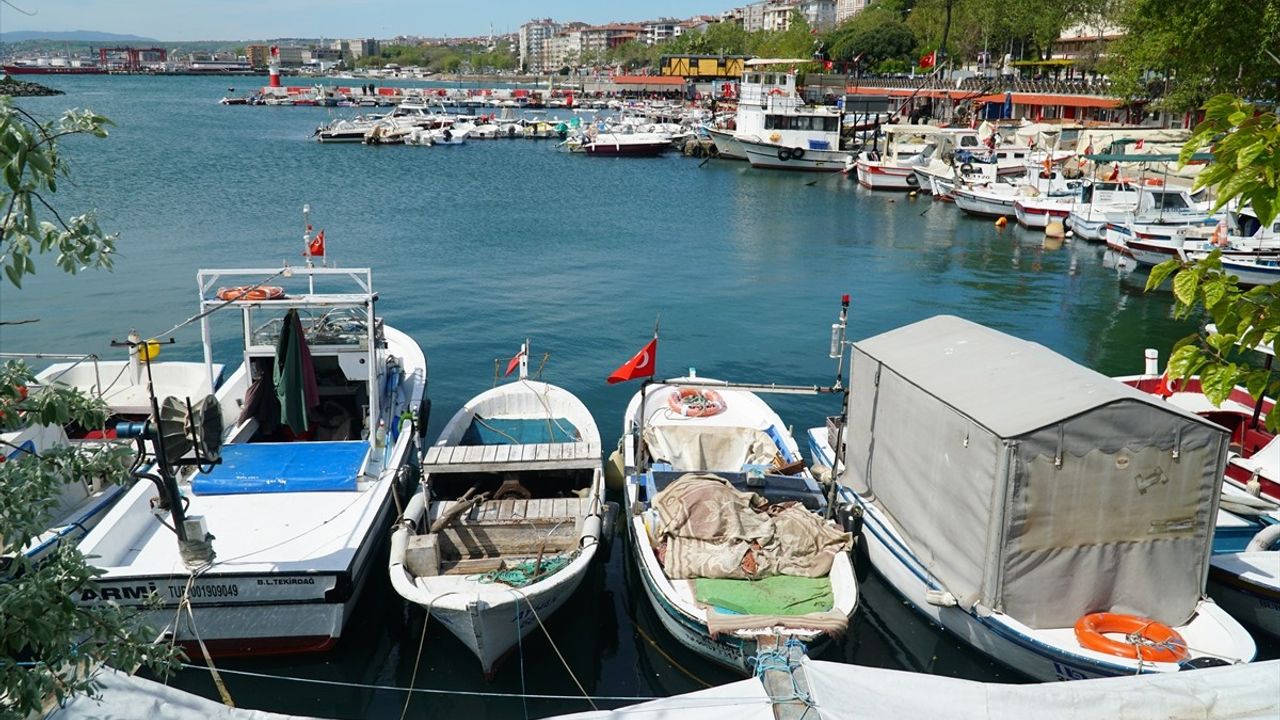 Tekirdağ'da Poyraz Denizin Ulaşımını Etkiliyor