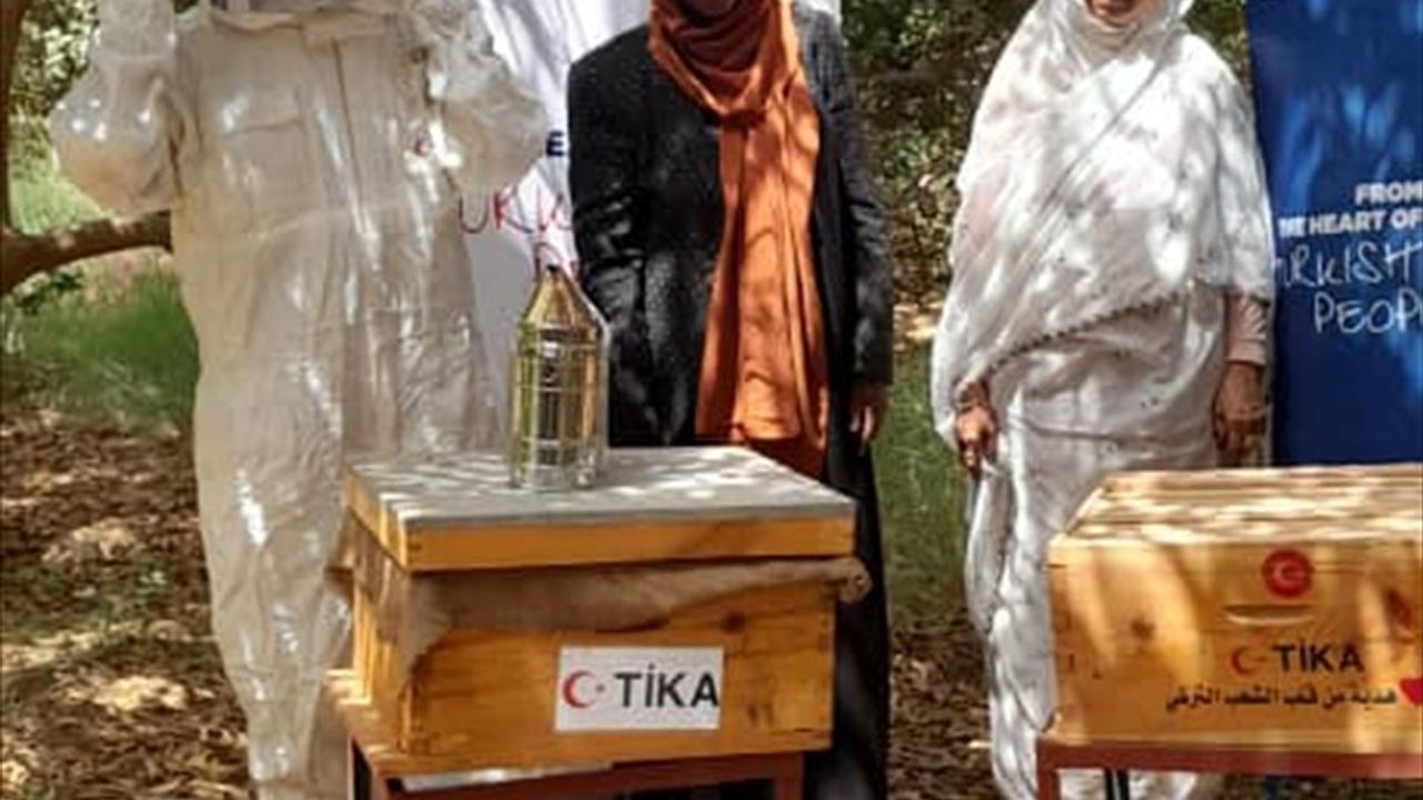 TİKA, Sudan'daki Arıcılara Malzeme ve Ekipman Desteği Sağladı