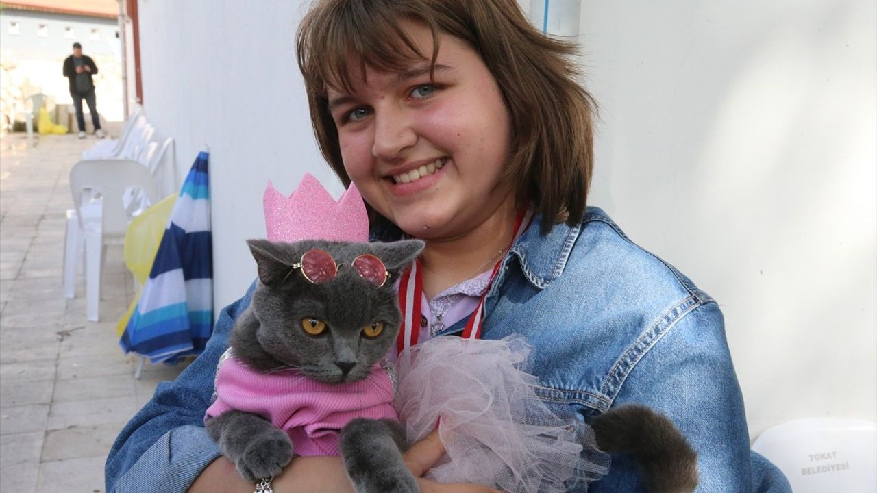 Tokat'ta Dünya Veteriner Hekimler Günü Kutlaması: Kedi Güzellik Yarışması Düzenlendi
