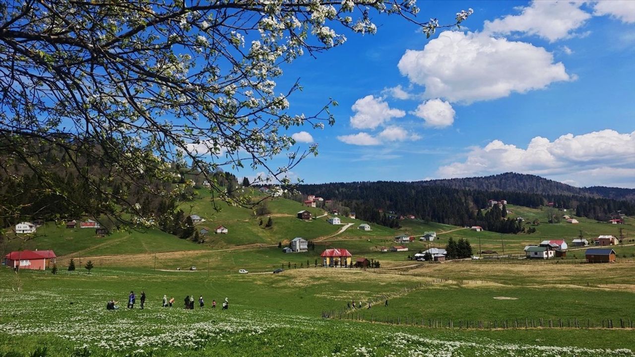 Trabzon'da İlkokul Öğrencileri Yayla Çiçekleri Arasında Kitap Okudu