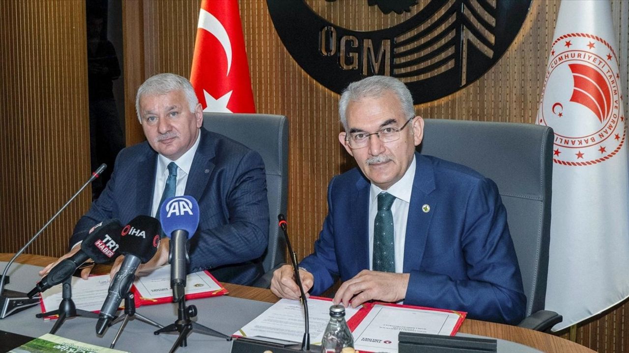 Türk Hava Yolları ve OGM Ağaçlandırma Protokolü İmzaladı
