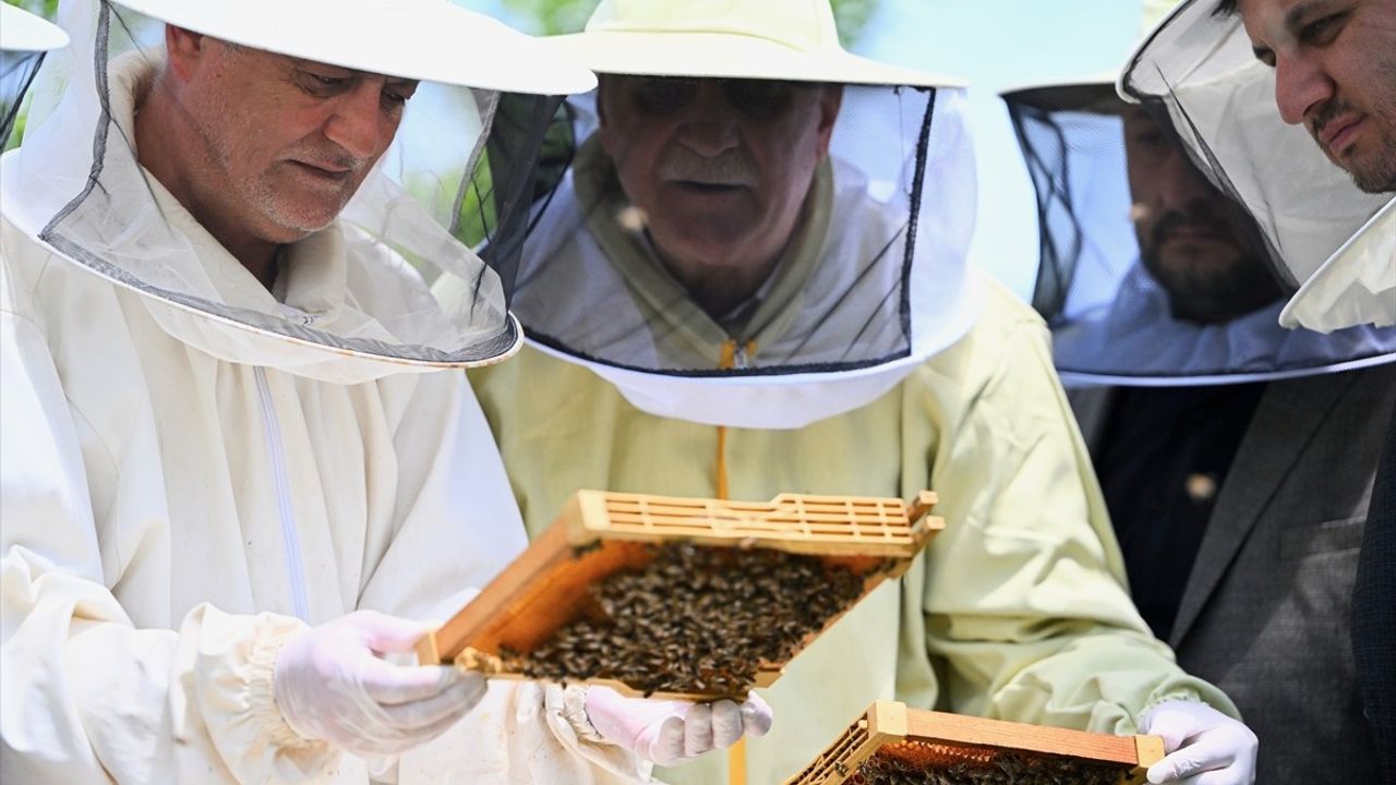 TZOB Genel Başkanı Bayraktar, Düzce'de Dondan Etkilenen Bahçeleri İnceledi
