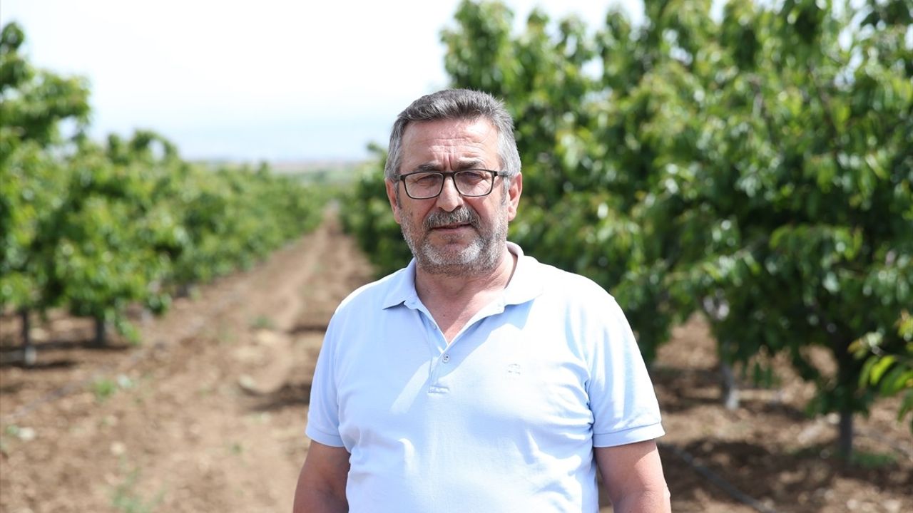 TZOB Genel Başkanı Bayraktar, Eskişehir'de Zirai Dondan Etkilenen Kiraz Bahçelerini İnceledi