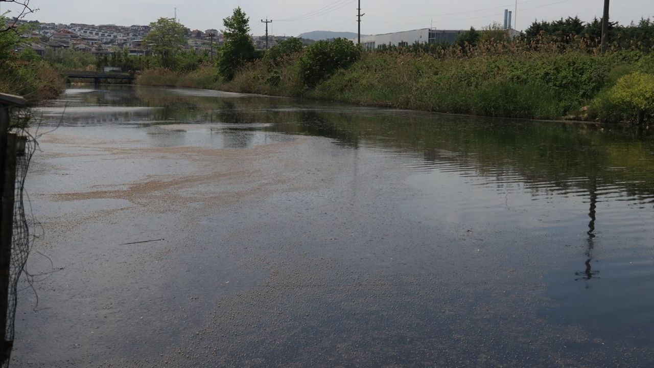 Yalova'da YASKİ'ye Marmara Denizi Kirliliğinden 4 Milyon Lira Ceza