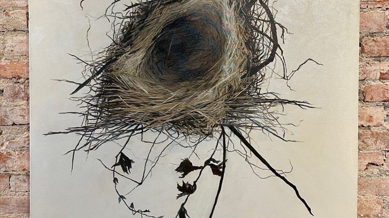 Yankı Odası Sergisi, 25 Genç Sanatçının Eserlerini Sanatseverlerle Buluşturdu