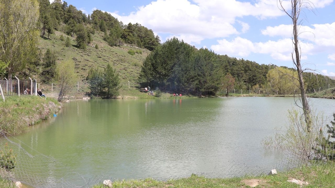 Yozgat'taki Çerçialan Göleti, Doğaseverlerin Yeni Gözdesi