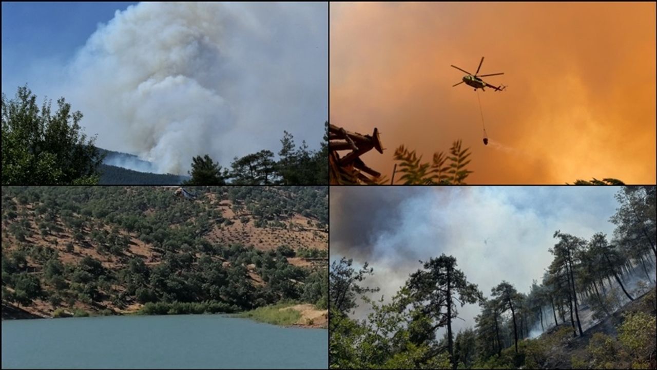 47 ilde büyük yasak başladı! Ekim ayına kadar yasaklı bölgeler listesi açıklandı
