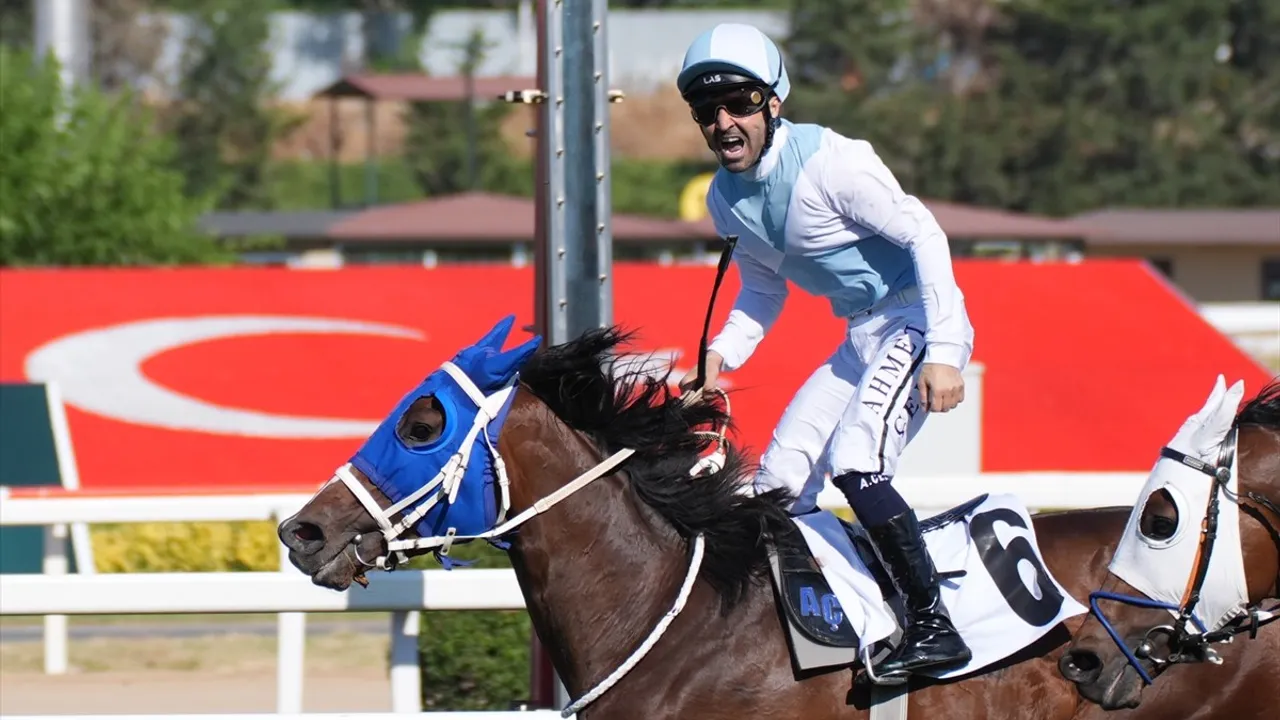 99. Gazi Koşusu'nu 'Cutha' Kazandı