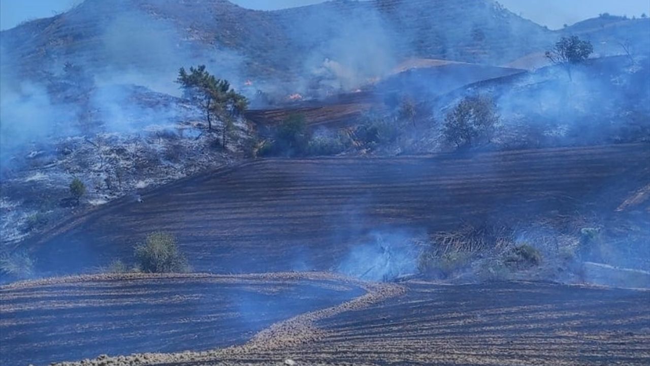 Adana'da Tarladan Ormana Sıçrayan Yangın Kontrol Altına Alındı