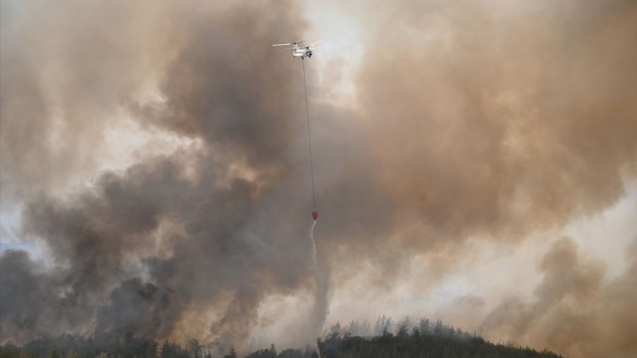 Adana'daki Orman Yangını Kontrol Altına Alındı: 6 Şüpheli Gözaltında