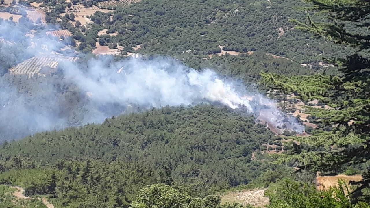 Adana Kozan'da Orman Yangını Kontrol Altına Alındı