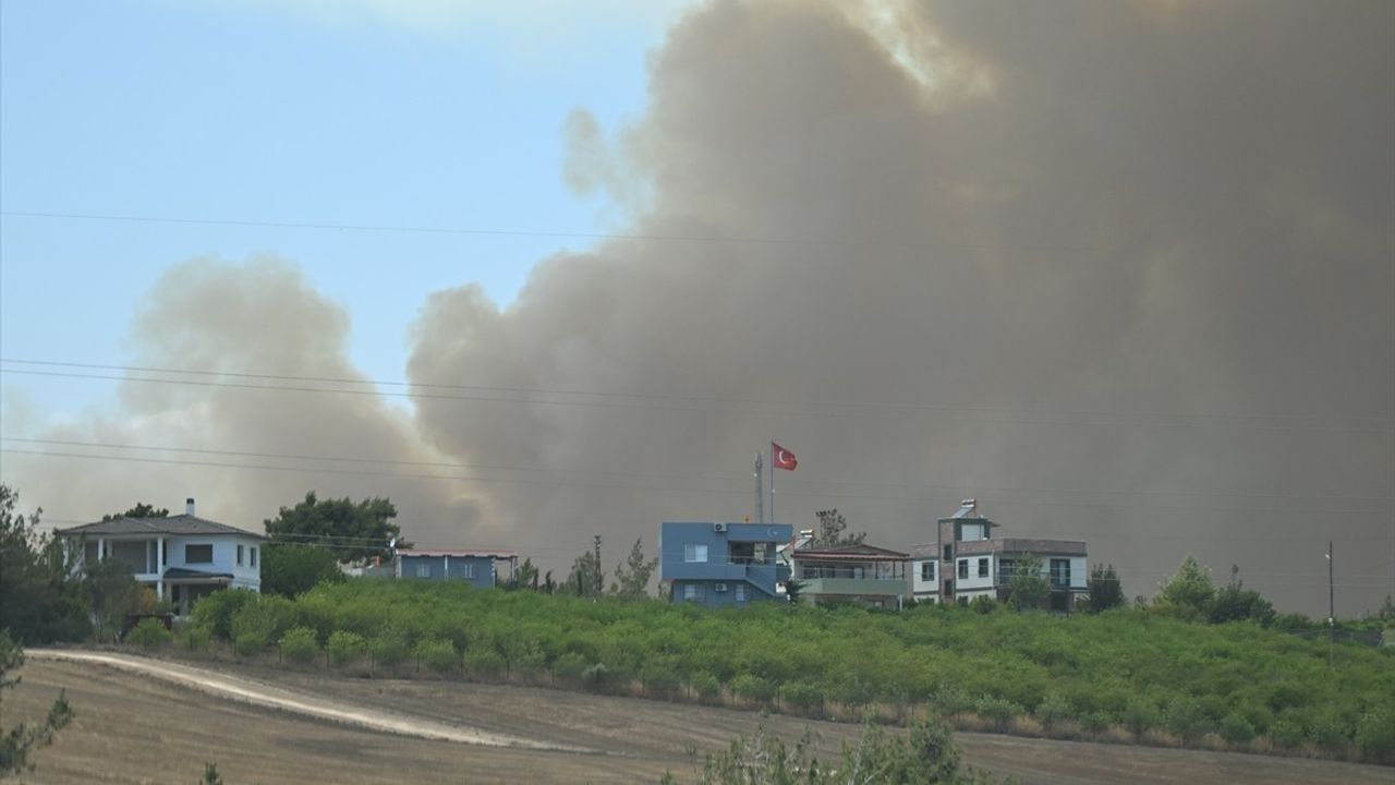 Adana'nın Çukurova İlçesinde Orman Yangınına Müdahale Ediliyor