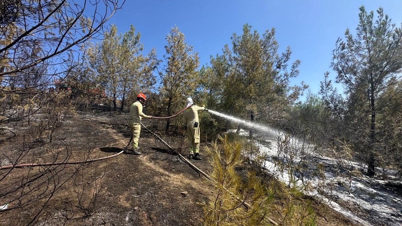 Adana'nın İmamoğlu İlçesinde Orman Yangını Kontrol Altına Alınmaya Çalışılıyor