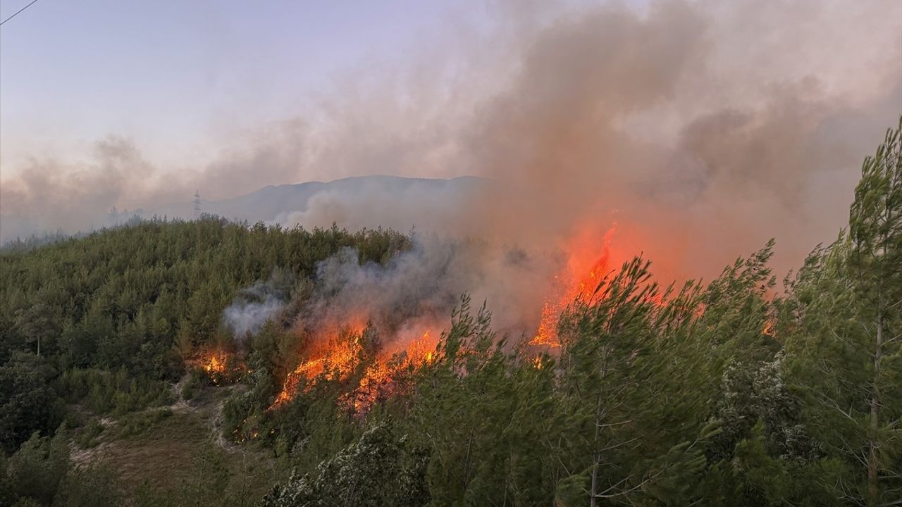 Adana'nın Kozan İlçesinde Orman Yangını: Hava Müdahalesine Ara Verildi