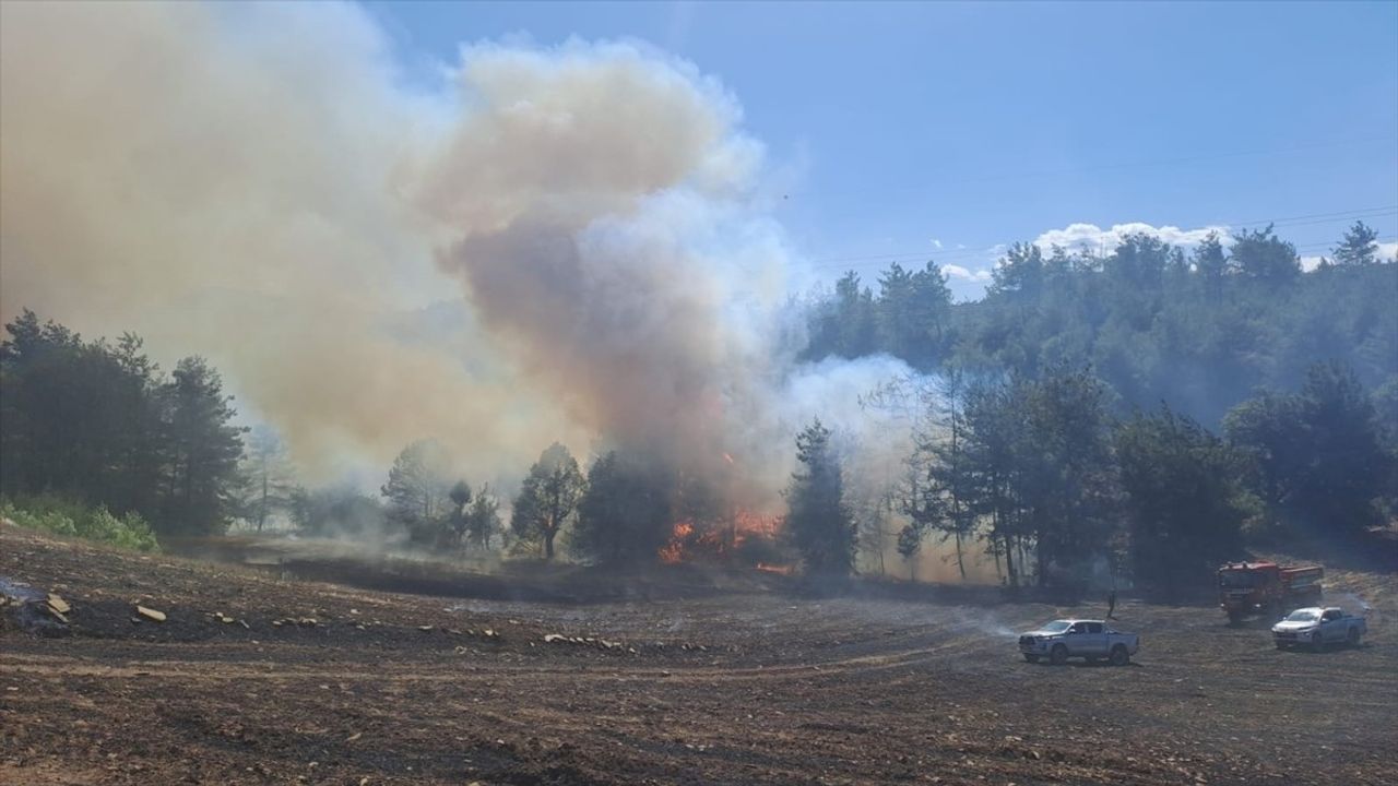 Adana'nın Kozan İlçesinde Orman Yangınına Müdahale Ediliyor