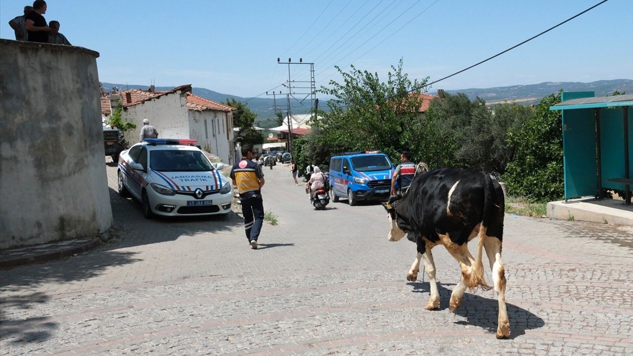 Akhisar'daki Orman Yangını Nedeniyle Bir Şüpheli Tutuklandı
