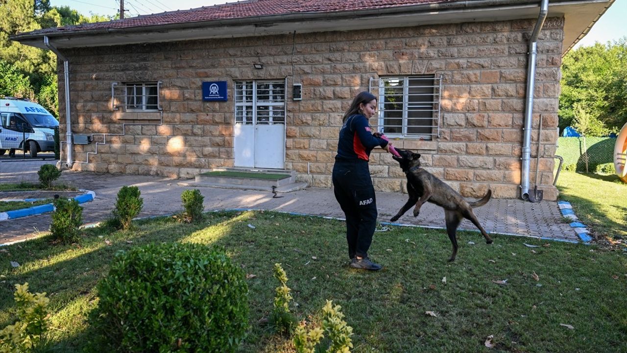 Anadolu Ajansı, 'ŞubAAt' İsimli Arama Kurtarma Köpeği Sahiplendi