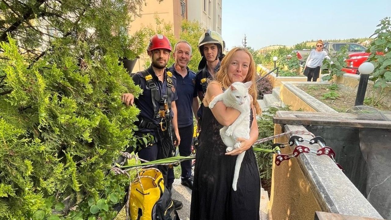 Ankara'da Havalandırma Boşluğuna Düşen Kedi İtfaiye Ekiplerince Kurtarıldı
