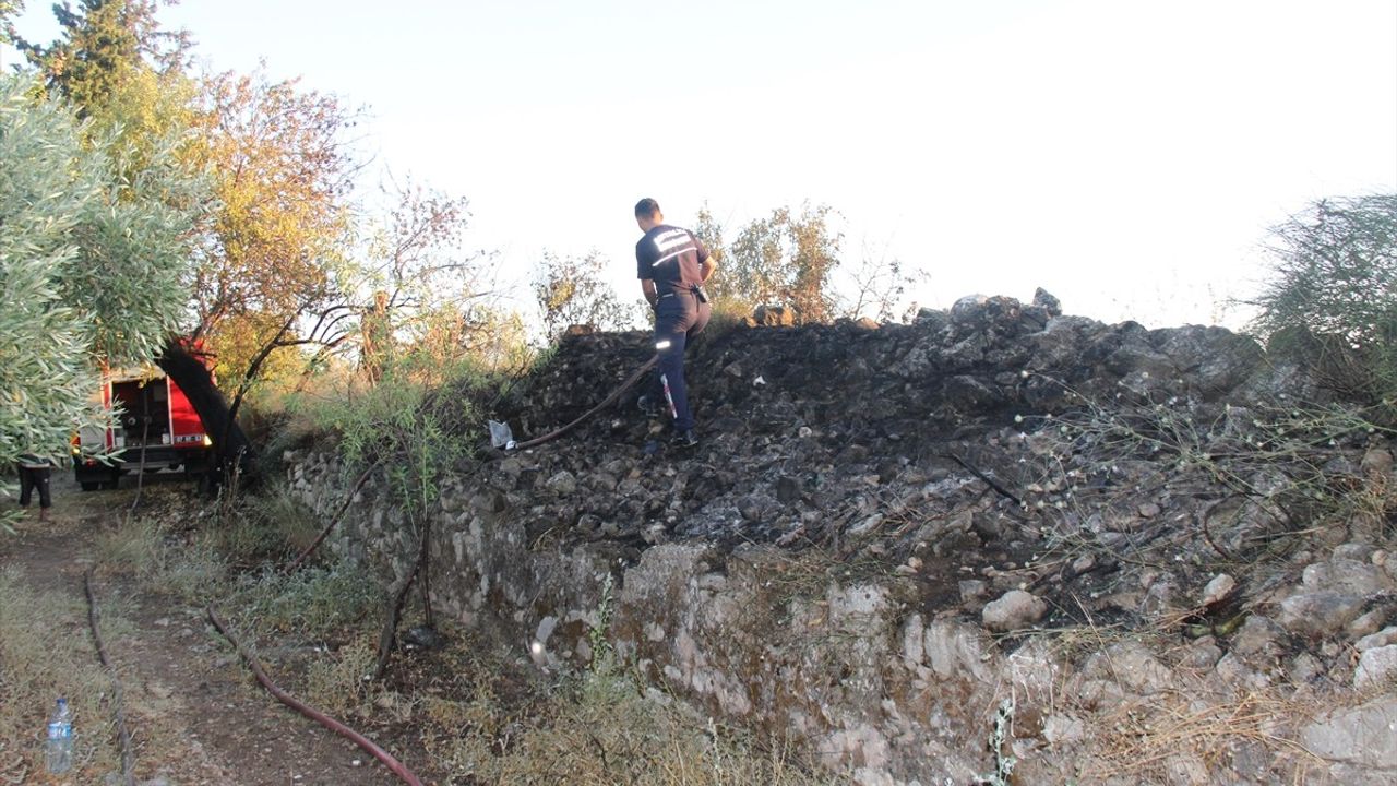 Antalya'da Aspendos Antik Kenti Yakınında Yangın Kontrol Altına Alındı