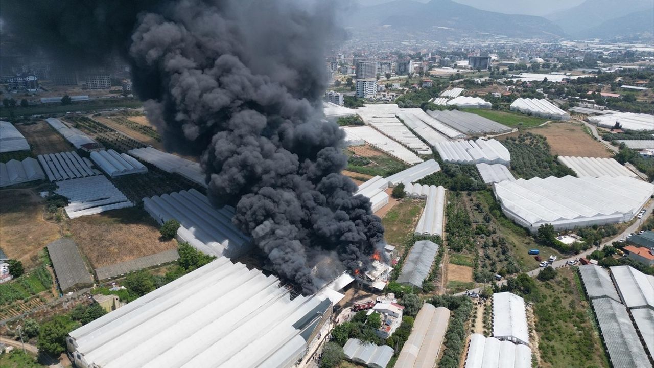 Antalya'da Fide Üretim Tesisinde Yangın Kontrol Altına Alındı