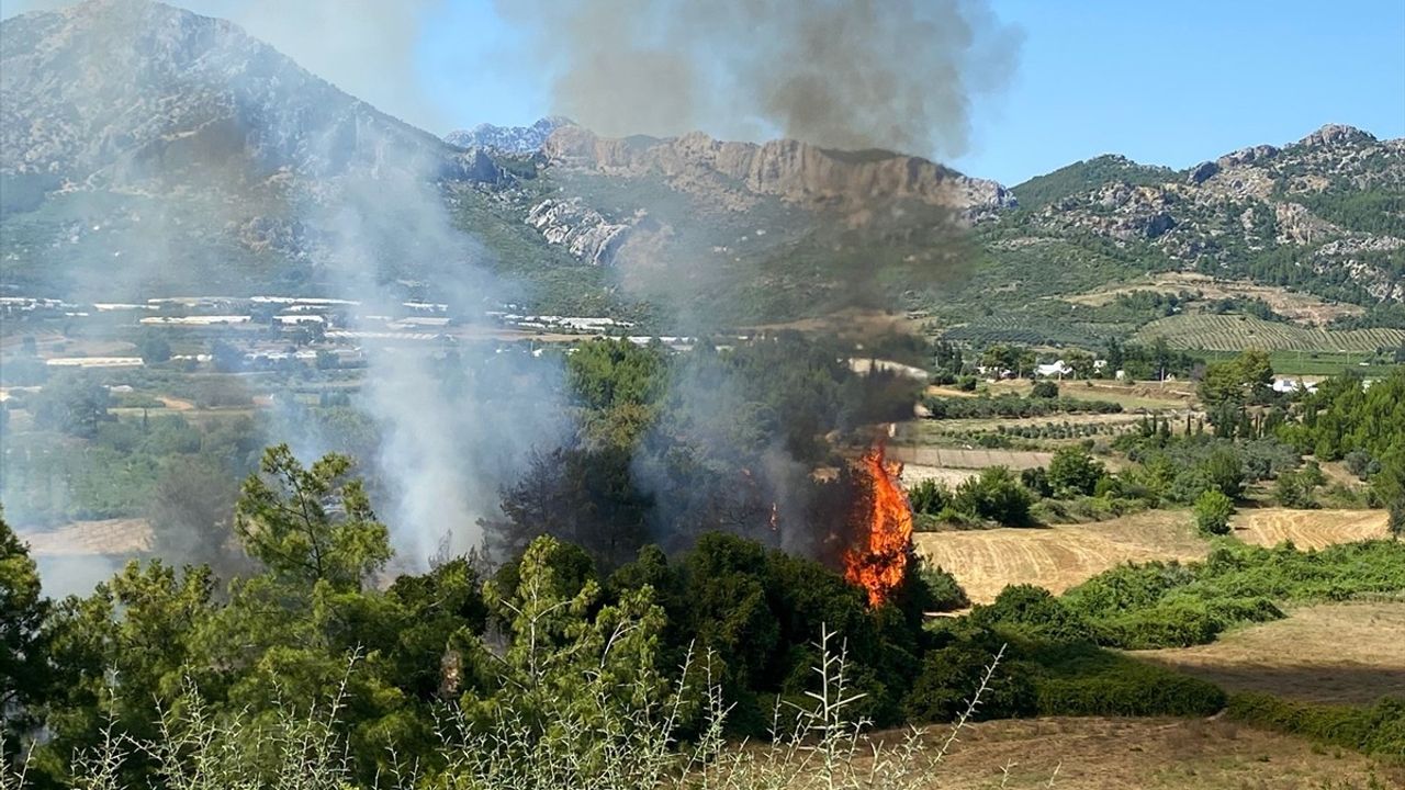 Antalya'da Orman Yangını Kontrol Altına Alındı