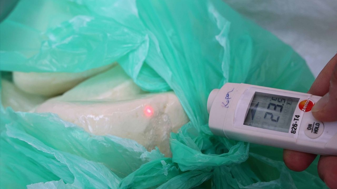 Antalya'da Sağlıksız Koşullarda Taşınan 700 Kilogram Peynir Ele Geçirildi