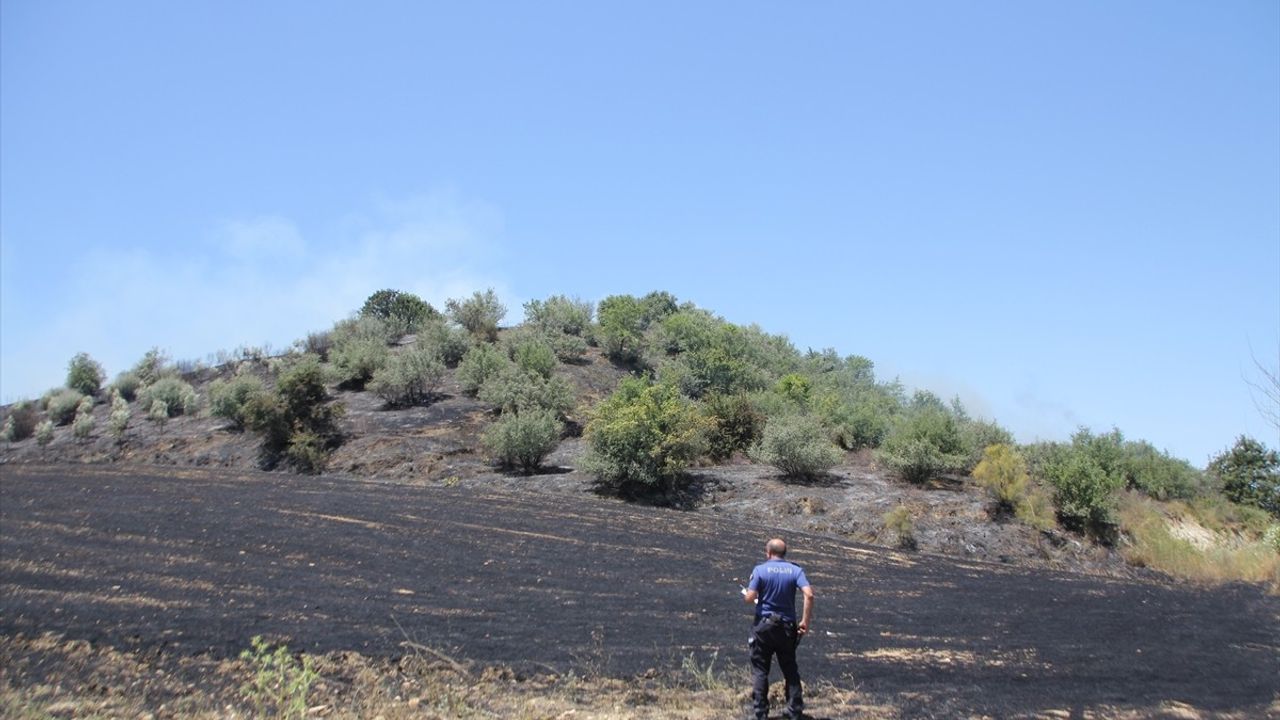 Antalya'nın Serik İlçesinde Anız ve Zeytinlik Yangını Kontrol Altına Alındı