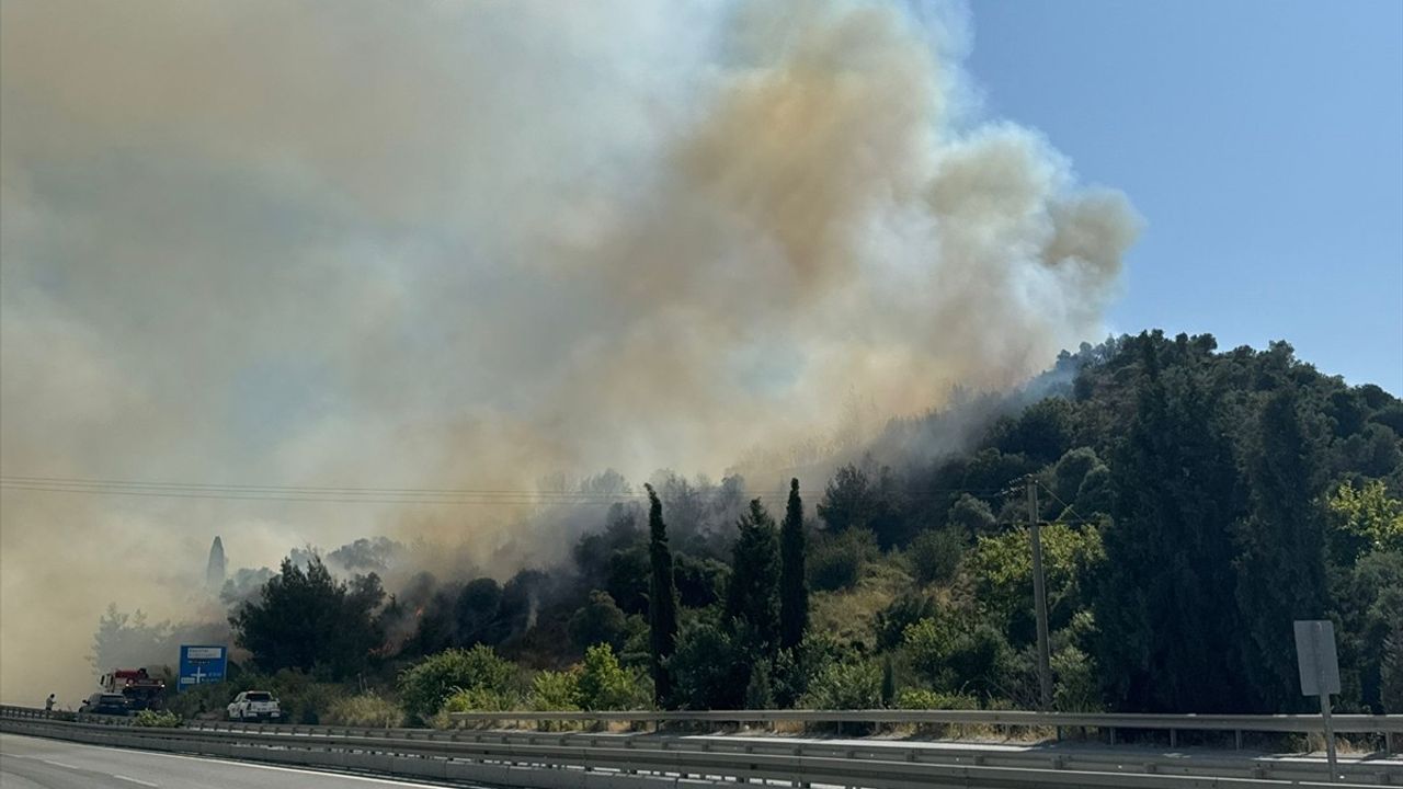 Aydın'da Yangınlar Kontrol Altına Alındı: 82 Hektar Zarar Görüldü