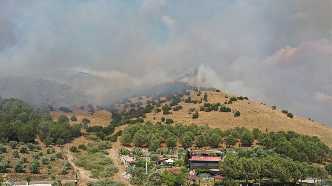 Aydın'da Ziraat Alanı ve Makilikte Yangın: Müdahale Devam Ediyor