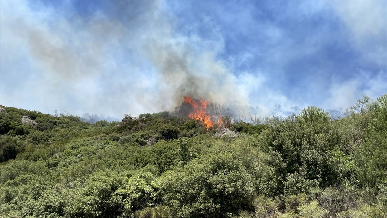 Aydın'da Ziraat Alanında Çıkan Yangın Ormanlık Alana Sıçradı