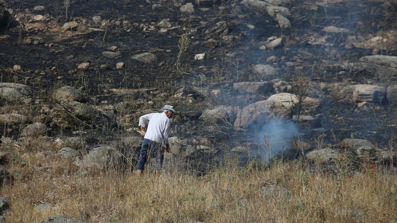 Aydın'da Ziraat Alanında Yangına Müdahale Devam Ediyor
