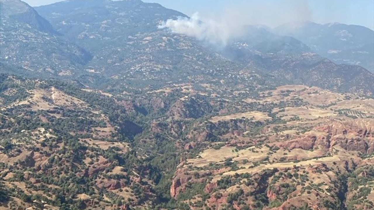 Aydın'ın Efeler ve Bozdoğan ilçelerinde yangın söndürme çalışmaları devam ediyor