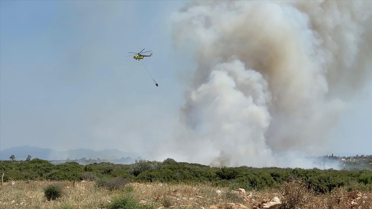 Aydın Didim'de Makilik Alanda Yangın Çıkıyor