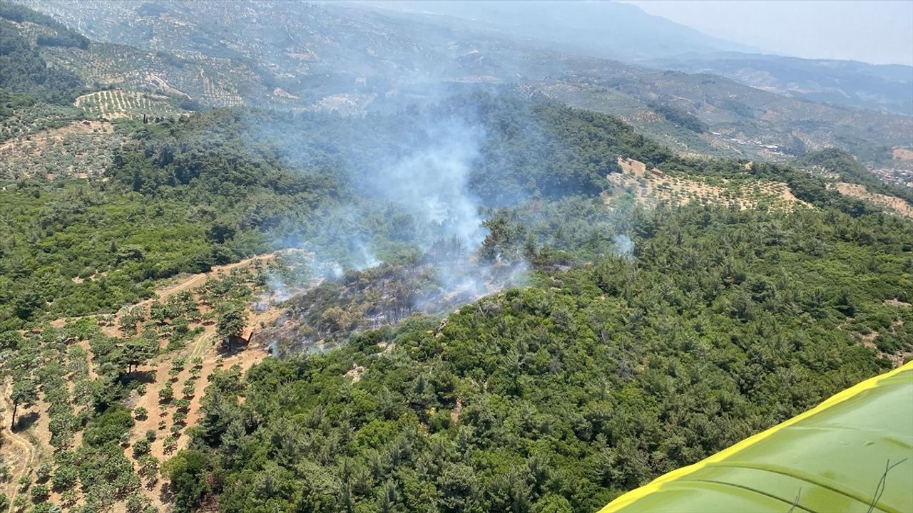 Aydın Germencik'te Orman Yangını İle Mücadele Devam Ediyor
