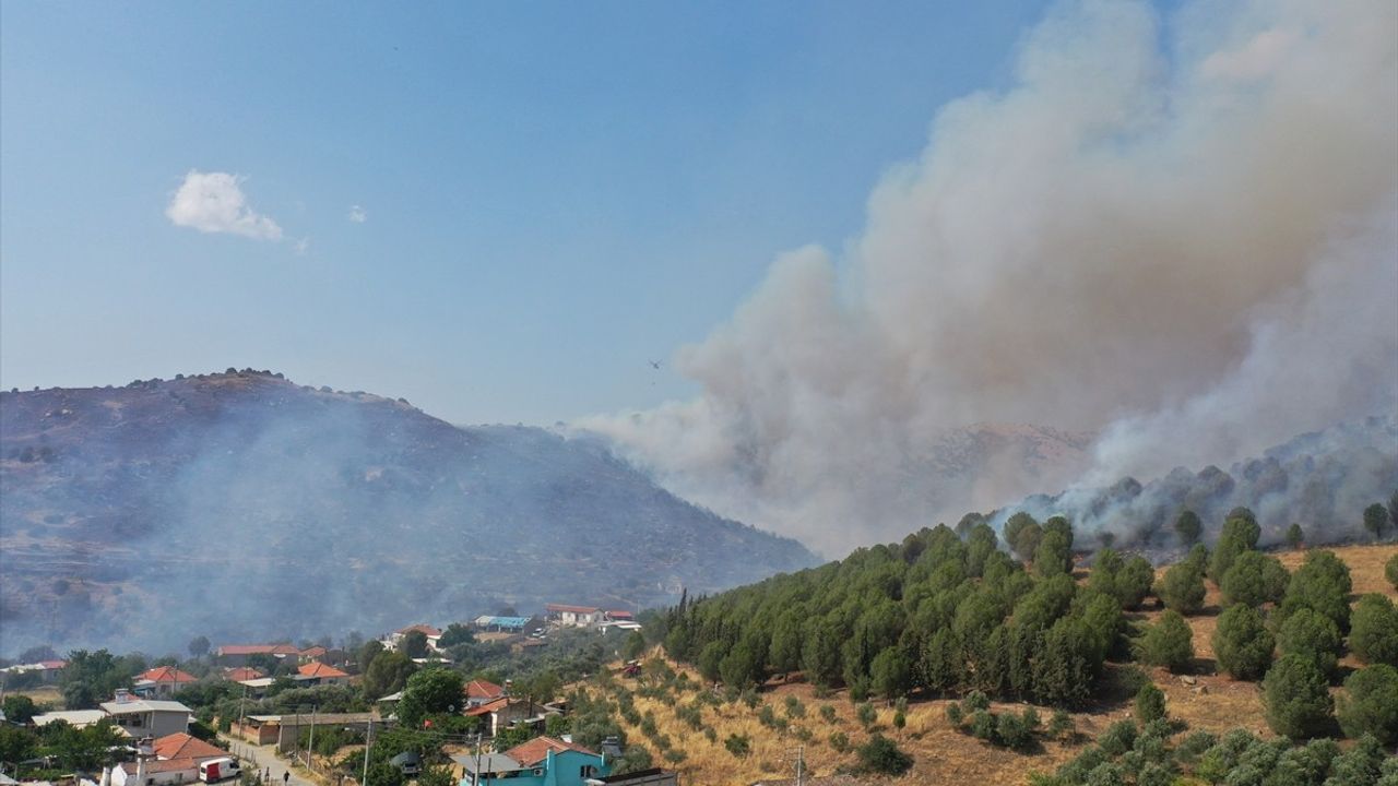 Aydın'ın Efeler İlçesinde Ziraat ve Makilikte Yangın Çıktı