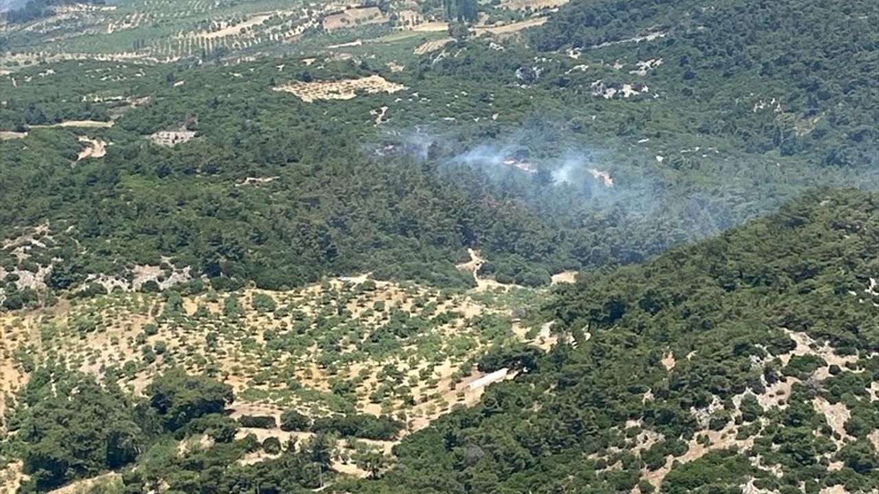 Aydın'ın Germencik İlçesindeki Orman Yangını Kontrol Altına Alındı