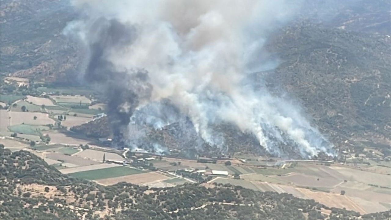 Aydın'da Zeytinlik Alanda Yangın Kontrol Altına Alındı