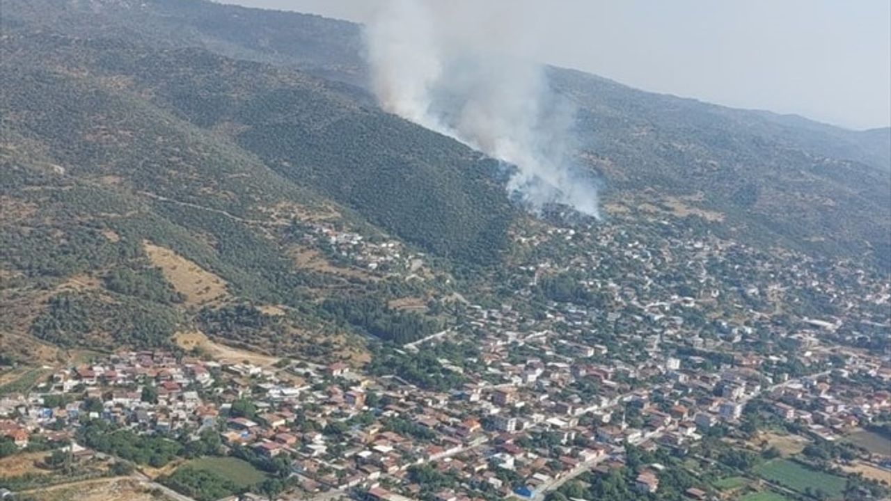 Aydın'da Ziraat Alanında Çıkan Yangın Kontrol Altına Alındı