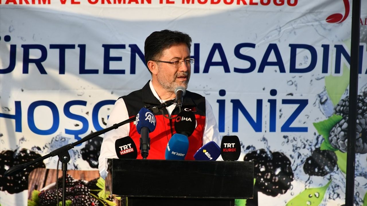 Bakan Yumaklı, Siirt'te Böğürtlen Hasadına Katıldı ve İhracat Hedeflerini Açıkladı