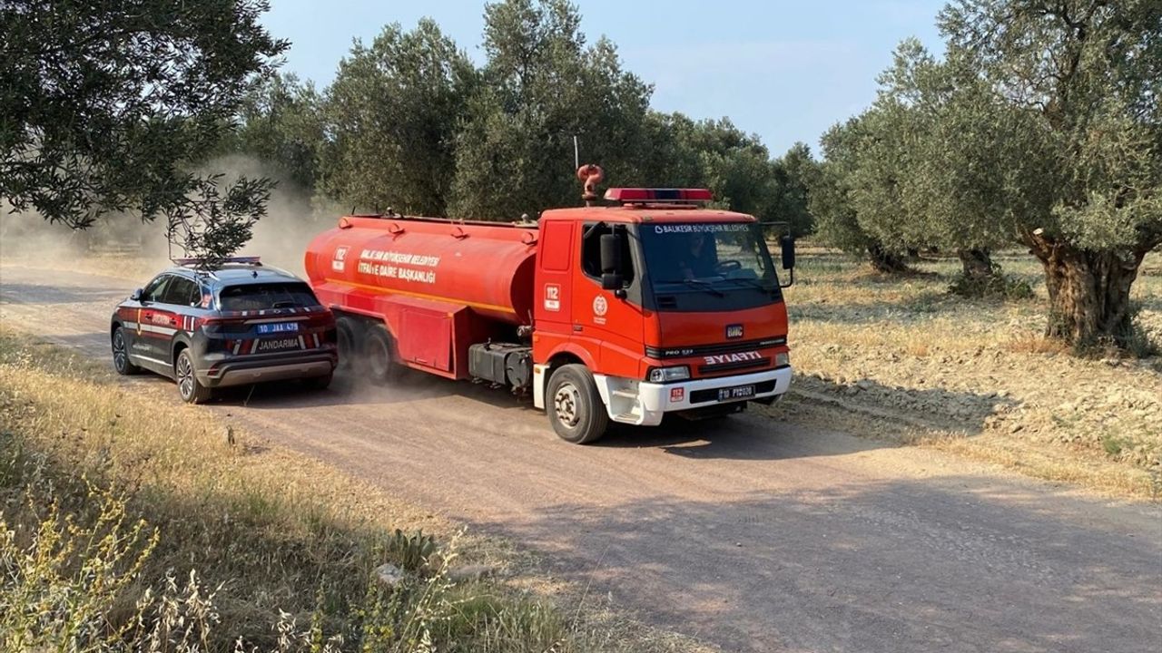 Balıkesir Ayvalık'ta Zeytinlik Alanda Yangın Çıktı