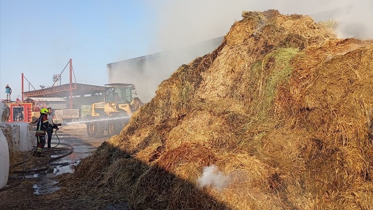 Balıkesir Burhaniye'de Tarım İşletmesindeki Yangın Kontrol Altına Alındı